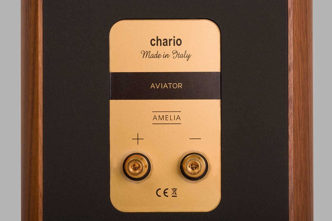 Chario Aviator Amelia Floorstanding Speaker